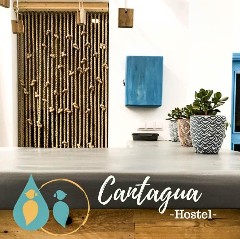 Cantagua Hostel バレンシア エクステリア 写真