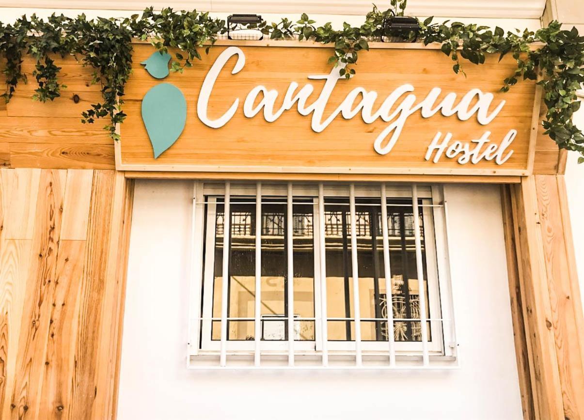 Cantagua Hostel バレンシア エクステリア 写真